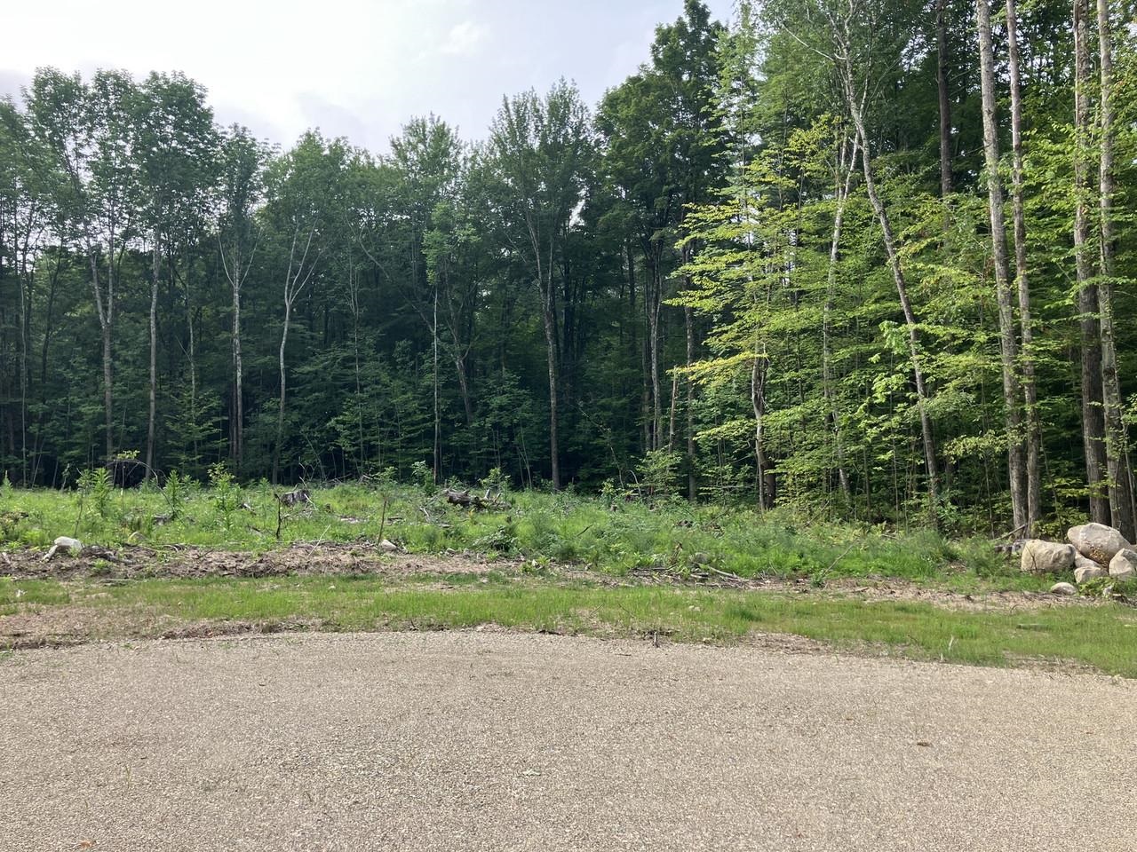 Lot 9 Fern Lake Road Leicester, VT 05733 - Photo 4 of 24
