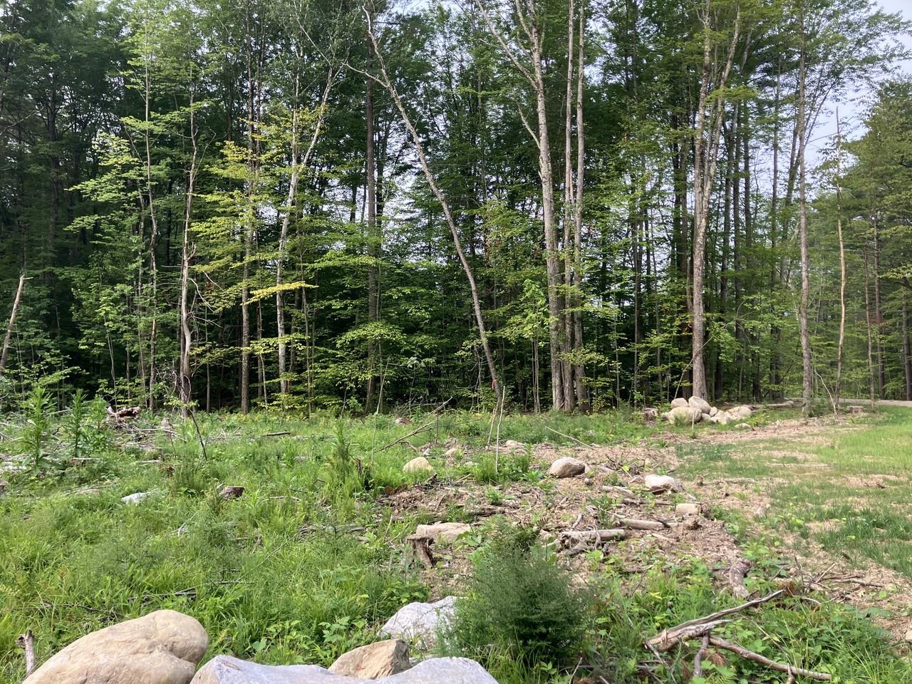 Lot 9 Fern Lake Road Leicester, VT 05733 - Photo 5 of 24