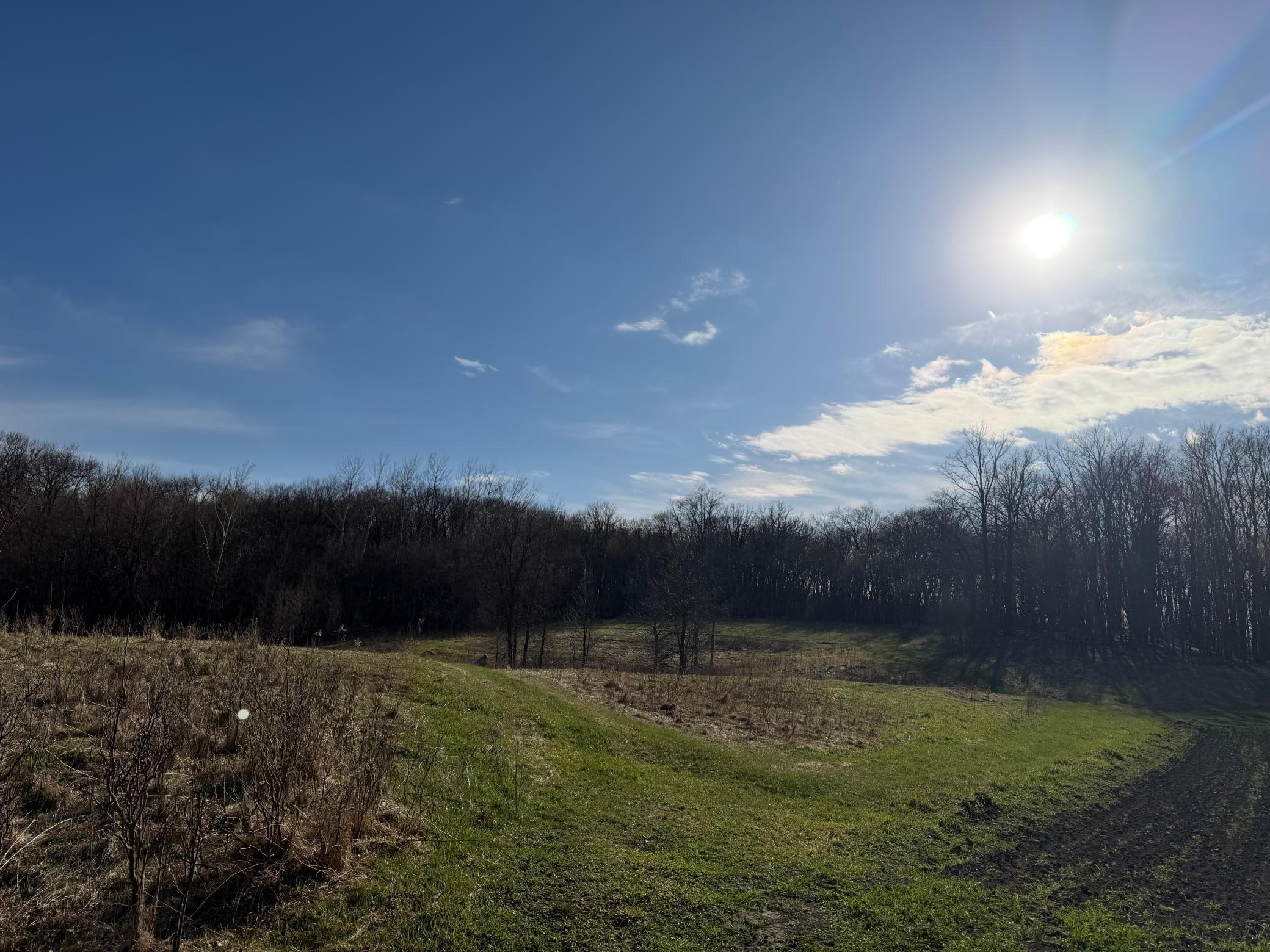Tbd Fish Lake Road Detroit Lakes, MN 56501 - Photo 14 of 53