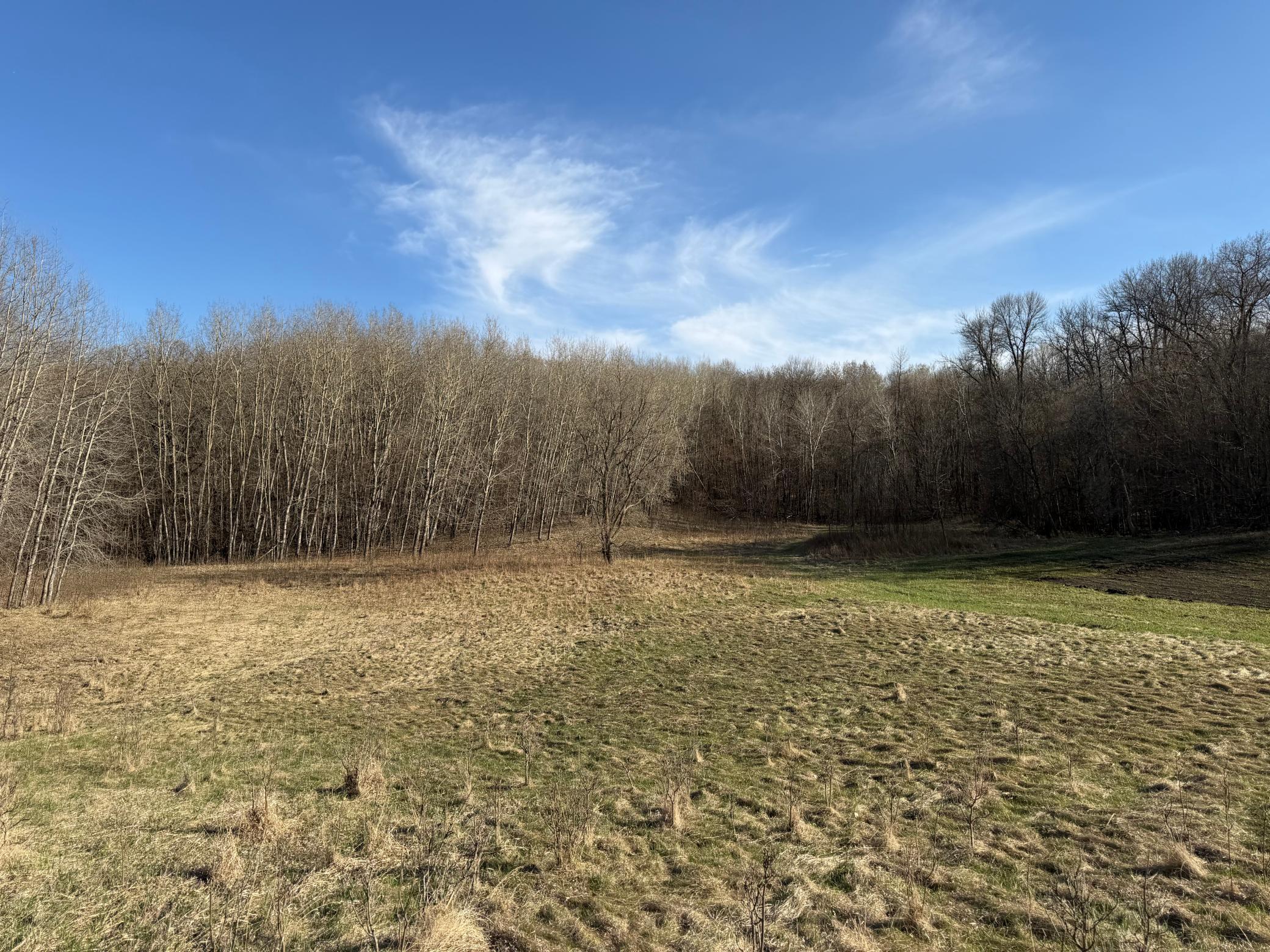 Tbd Fish Lake Road Detroit Lakes, MN 56501 - Photo 17 of 53