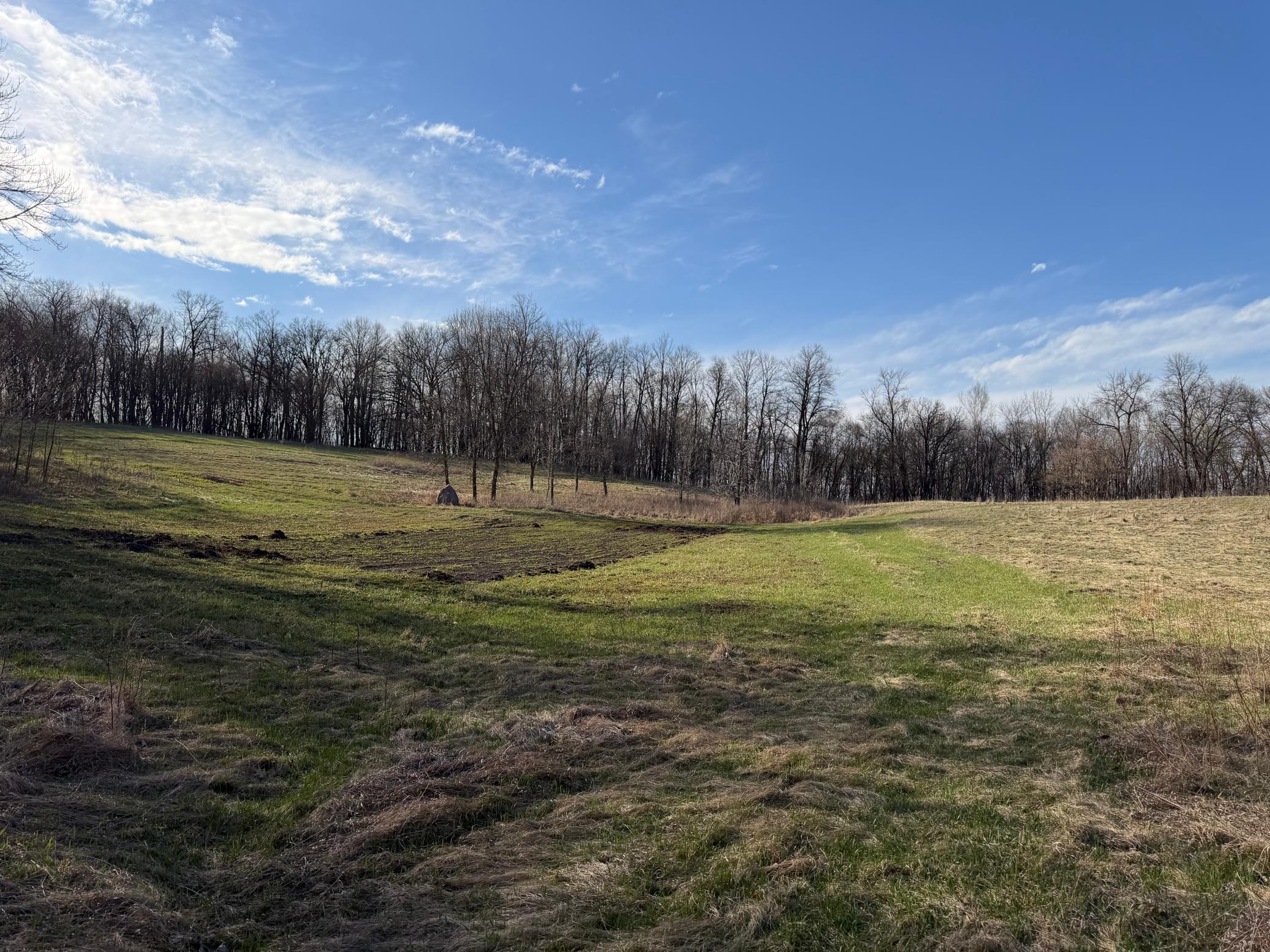 Tbd Fish Lake Road Detroit Lakes, MN 56501 - Photo 19 of 53