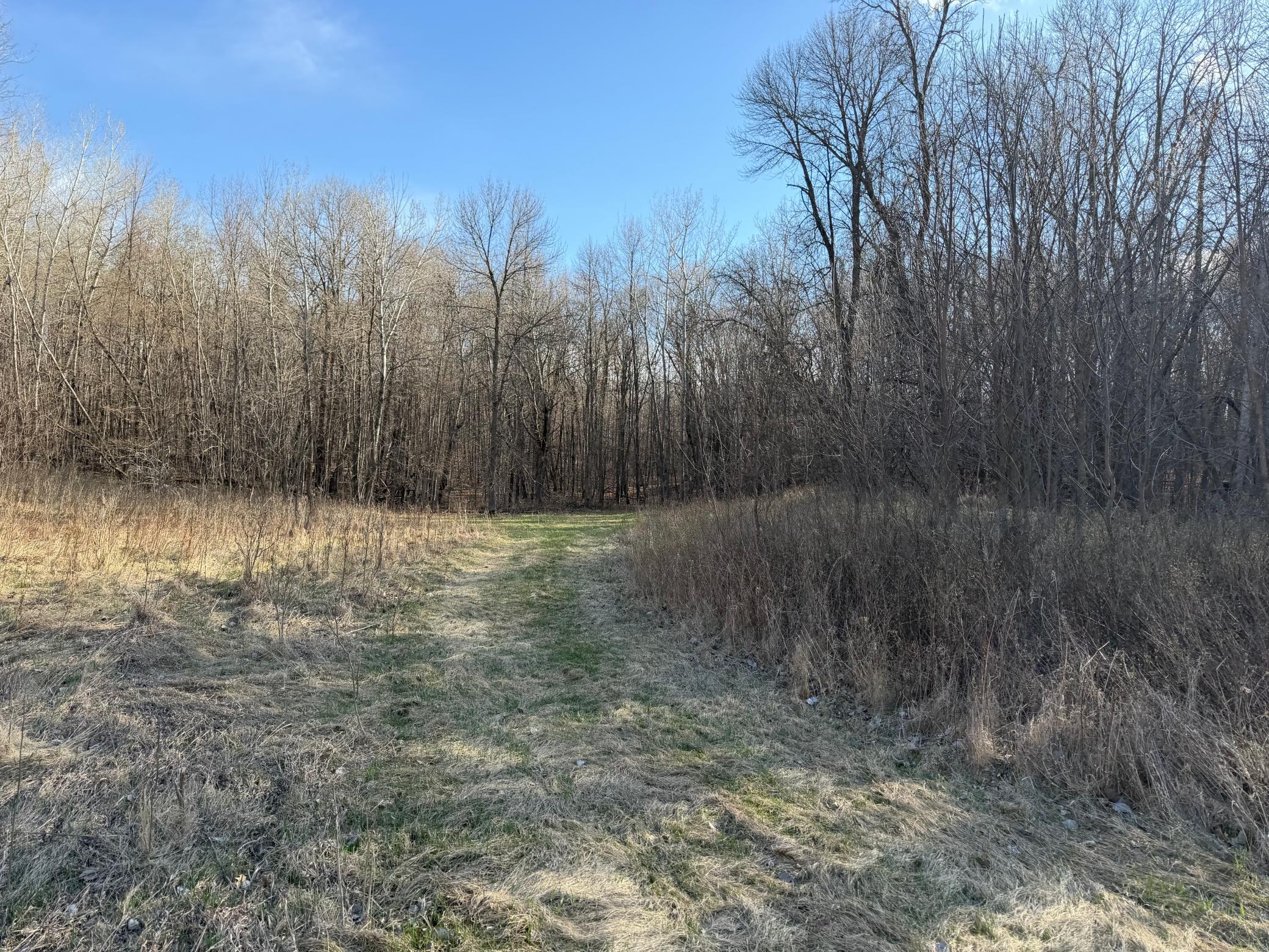 Tbd Fish Lake Road Detroit Lakes, MN 56501 - Photo 20 of 53
