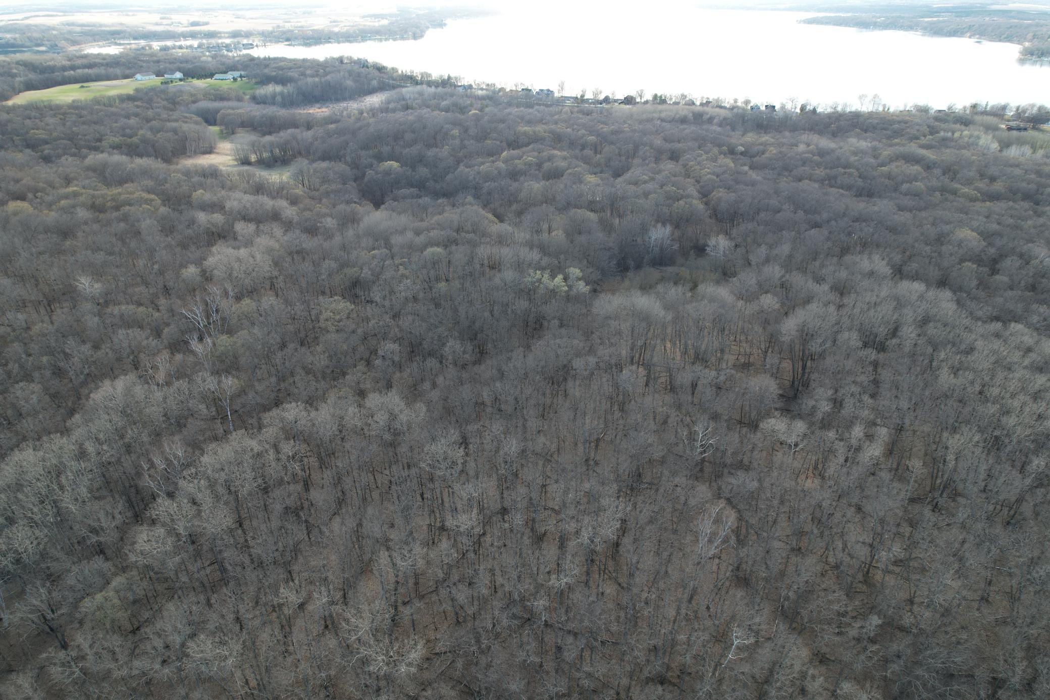 Tbd Fish Lake Road Detroit Lakes, MN 56501 - Photo 7 of 53