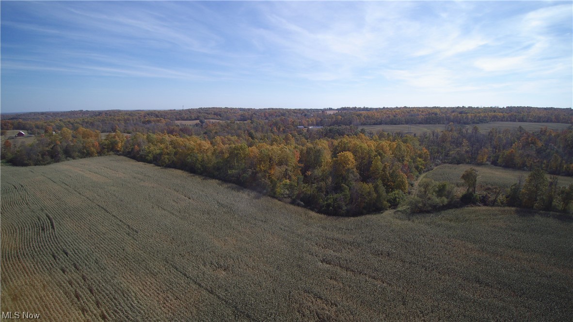Blue Rd Mount Mount Vernon, OH 43050 - Photo 1 of 23 Gallery Image 1