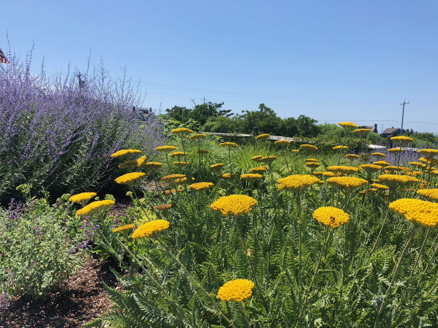 179 Eel Point Road Nantucket, MA 02554 - Photo 22 of 53