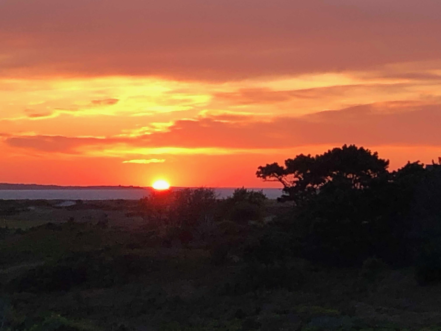 179 Eel Point Road Nantucket, MA 02554 - Photo 53 of 53