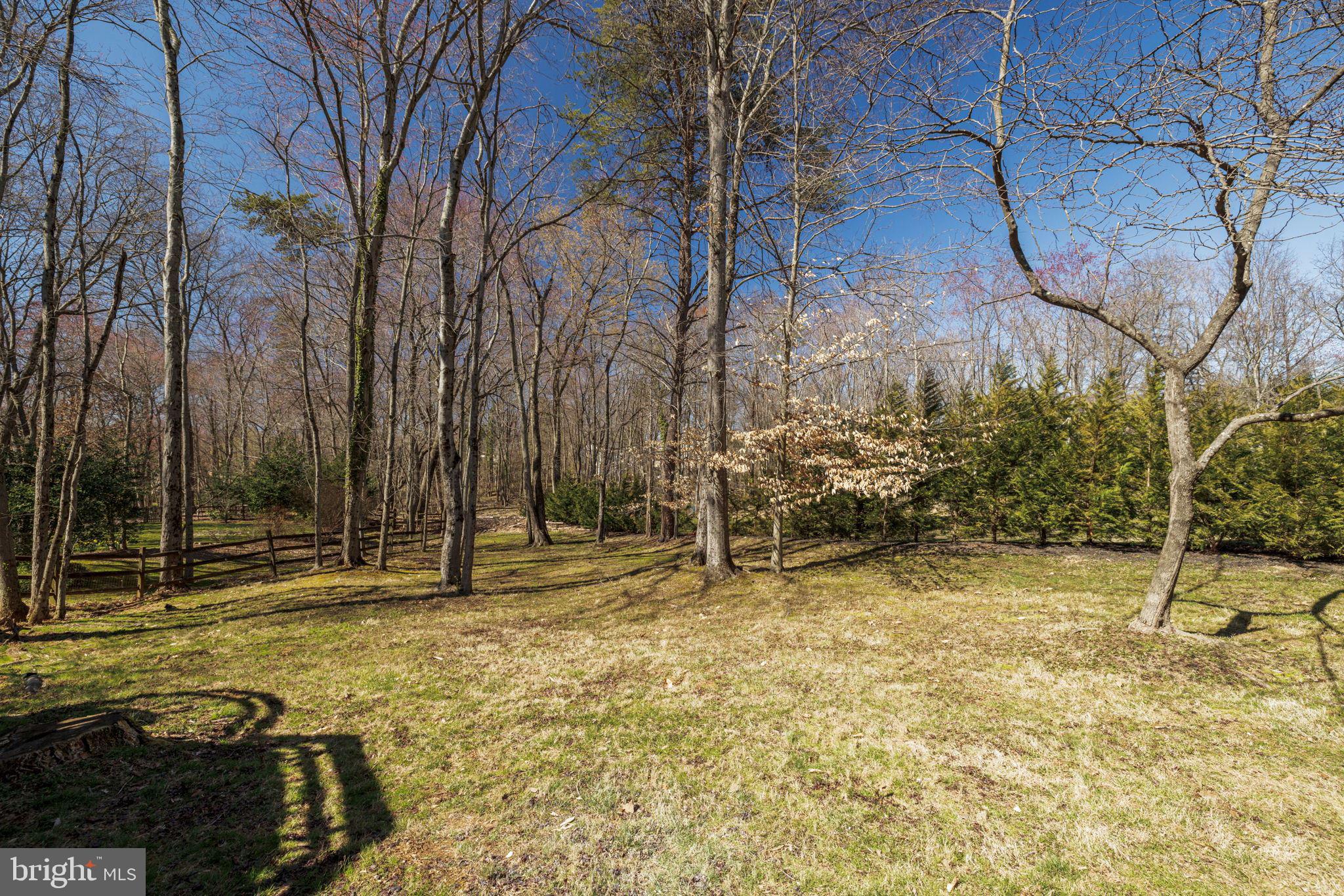 9800 Hall Road Potomac, MD 20854 - Photo 52 of 59 Tour Photo #37