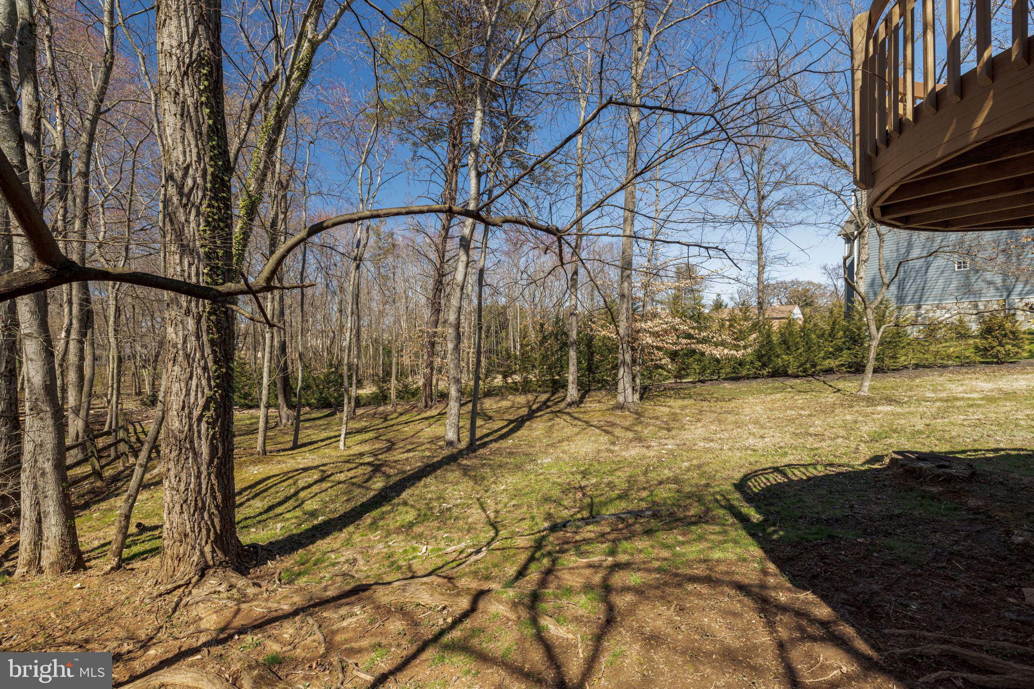 9800 Hall Road Potomac, MD 20854 - Photo 53 of 59 Tour Photo #39