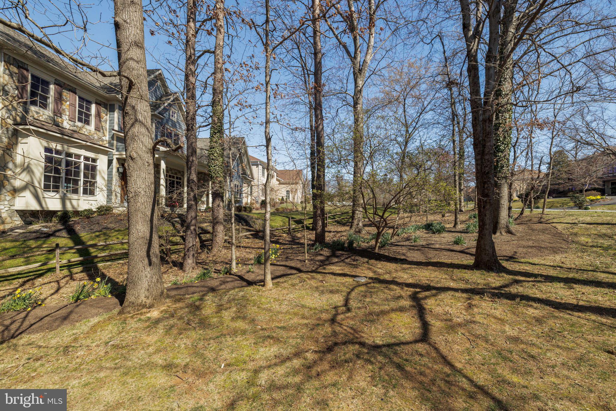 9800 Hall Road Potomac, MD 20854 - Photo 54 of 59 Tour Photo #38