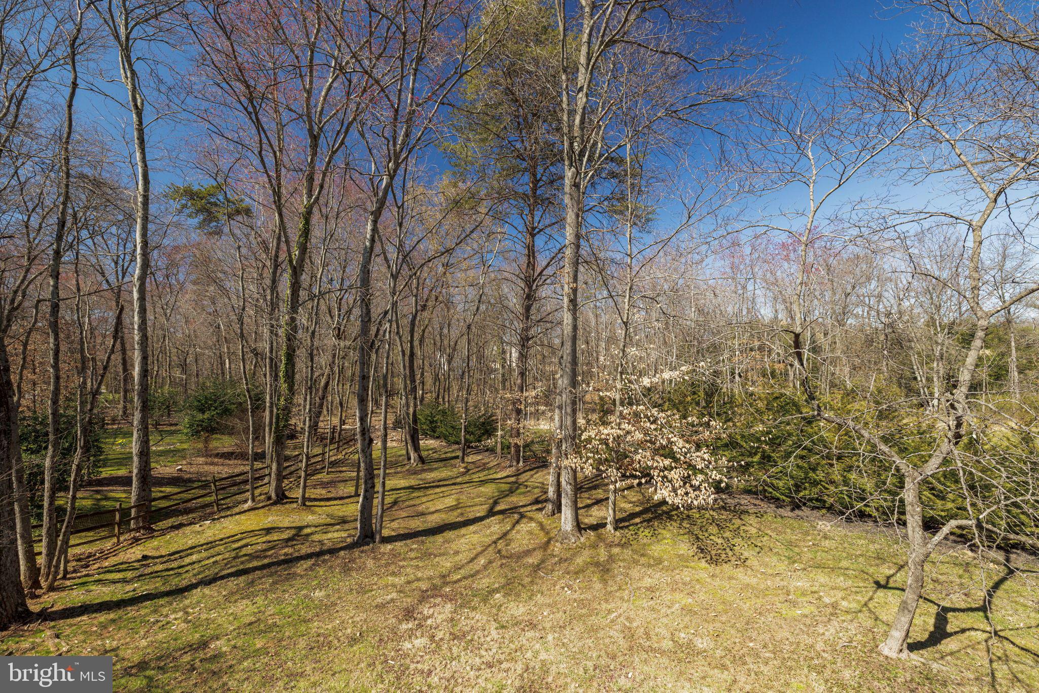 9800 Hall Road Potomac, MD 20854 - Photo 56 of 59 Tour Photo #67