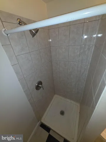 a view of a lush green forest