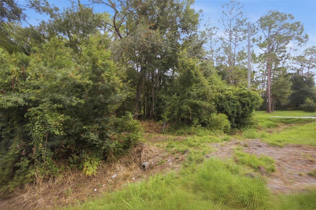 0 Old Dade City Road Kathleen, FL 33849 - Photo 15 of 29 Gallery Image 15