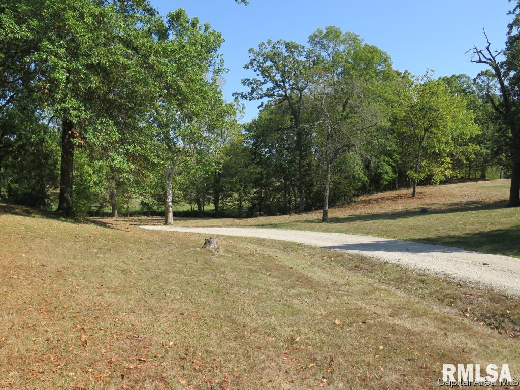 4662 Spaulding Orchard Road Chatham, IL 62629 - Photo 34 of 36