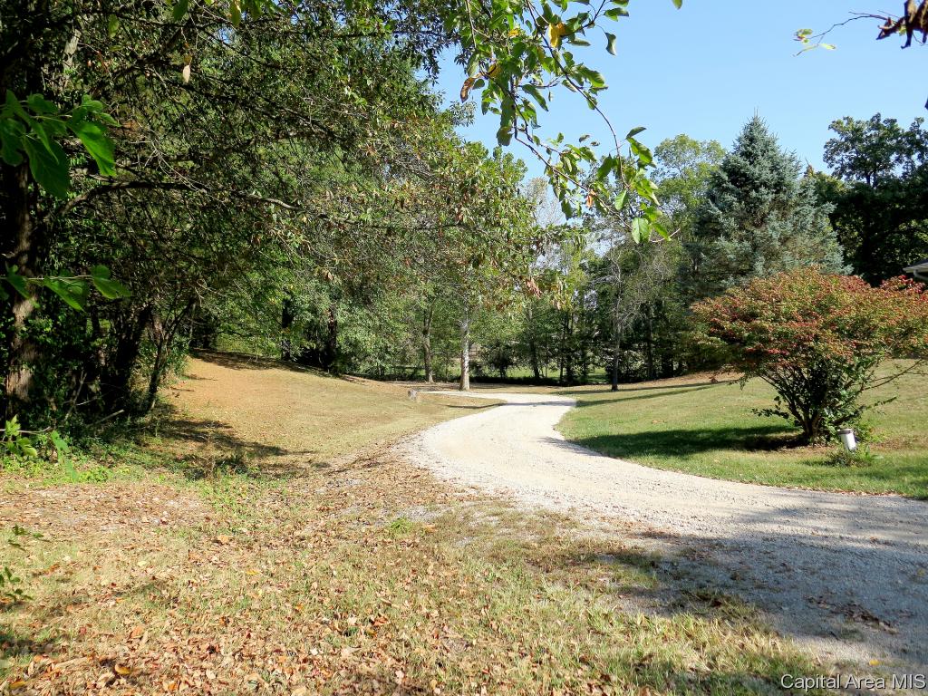 4662 Spaulding Orchard Road Chatham, IL 62629 - Photo 6 of 36