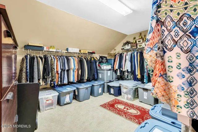 a view of a tree with a tree in the background