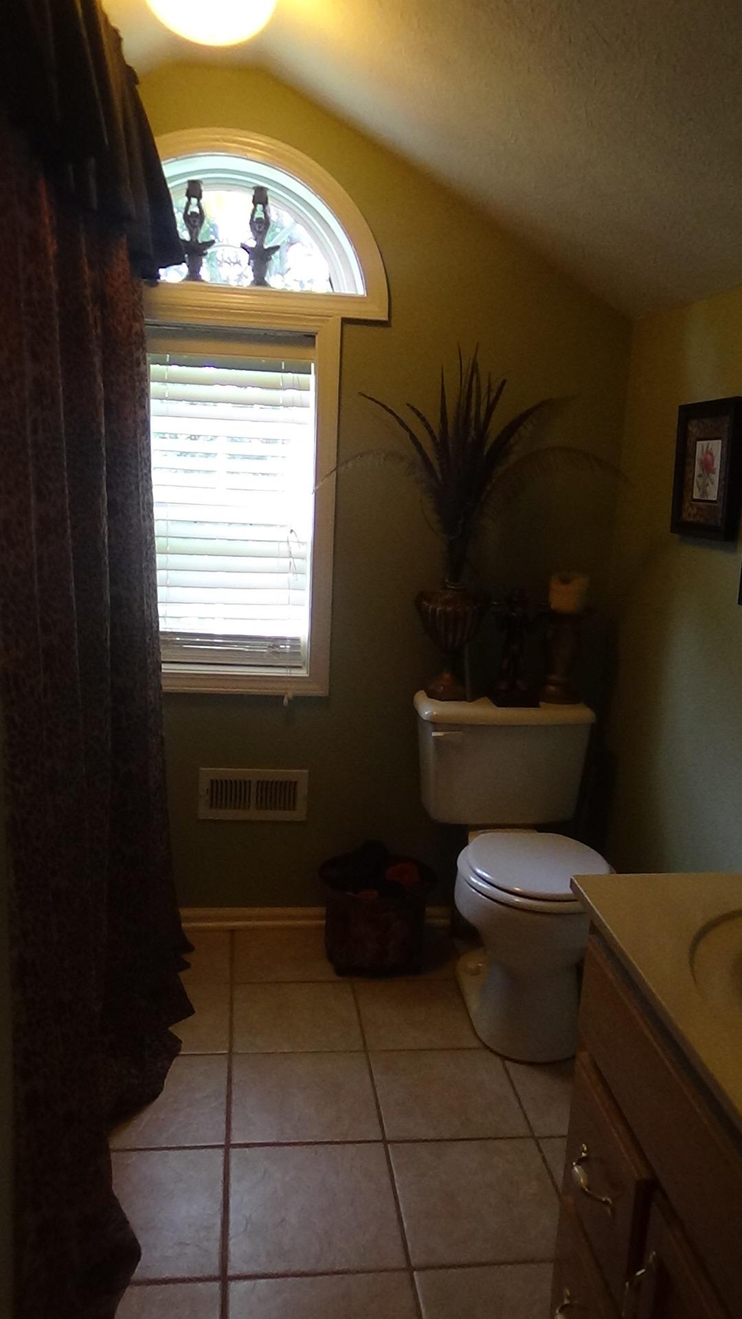 1126 Maxwell Branch Road Cottontown, TN 37048 - Photo 19 of 27 a bathroom with a toilet a sink and a window