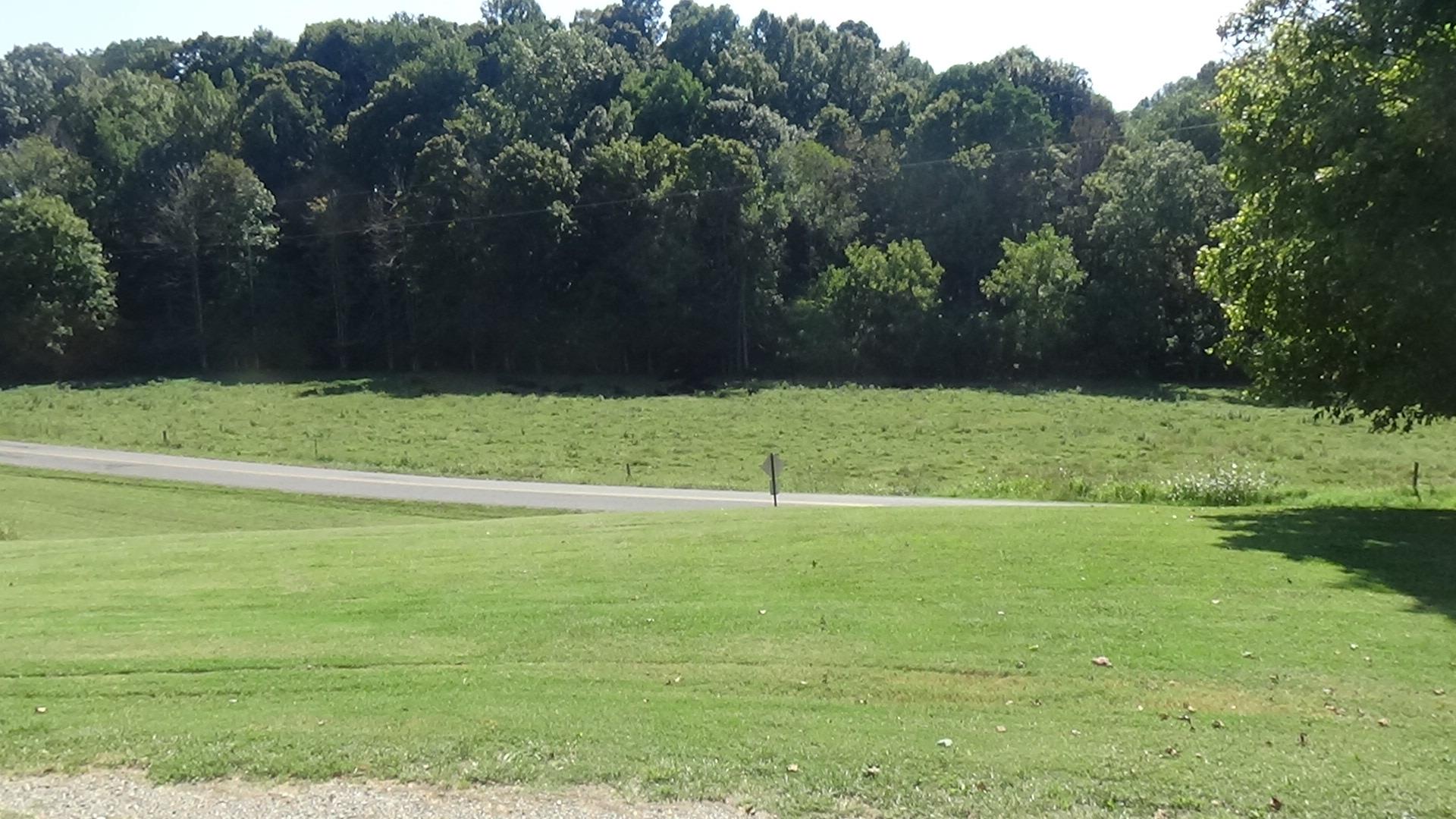 1126 Maxwell Branch Road Cottontown, TN 37048 - Photo 25 of 27 a view of a green yard