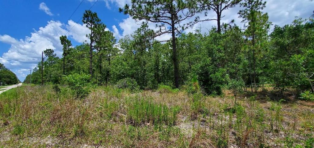 47 Southwest Sw Street Dunnellon, FL 34432 - Photo 1 of 1