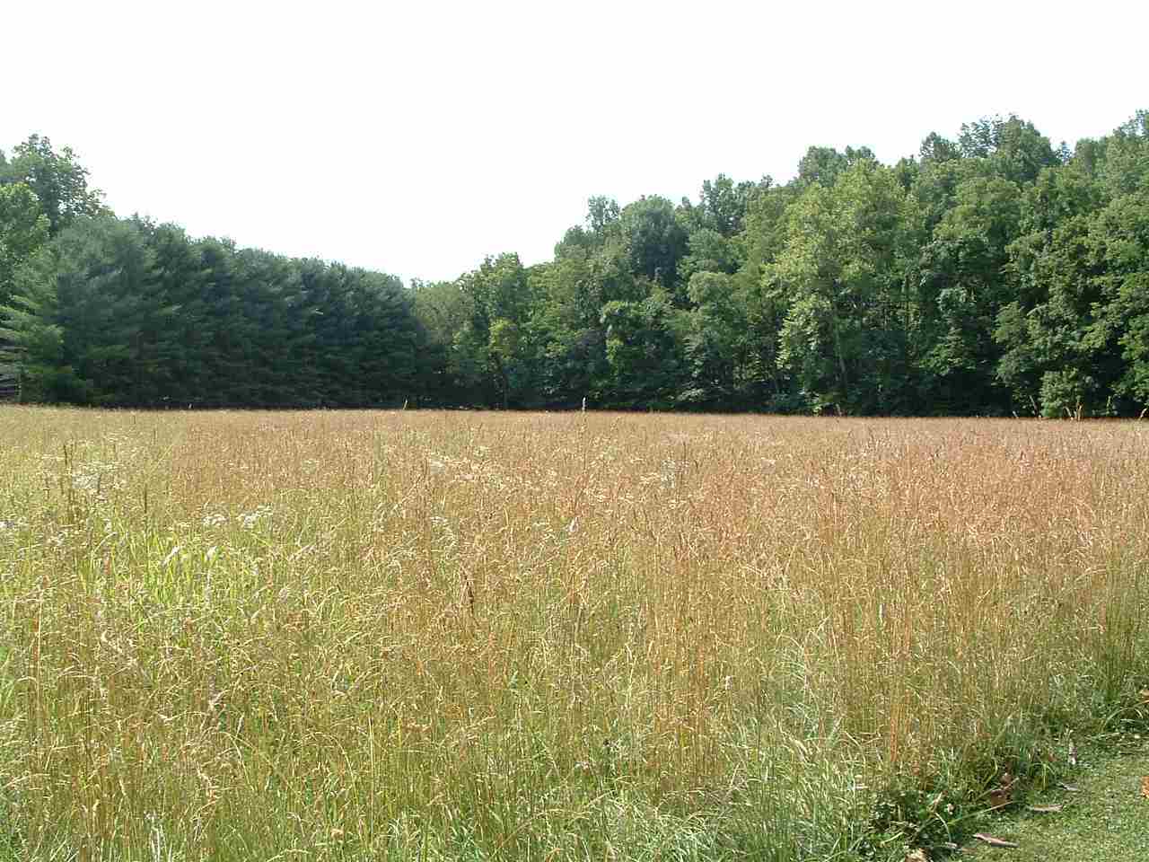 0 State Ferry Road Solsberry, IN 47459 - Photo 2 of 3 Gallery Image 2