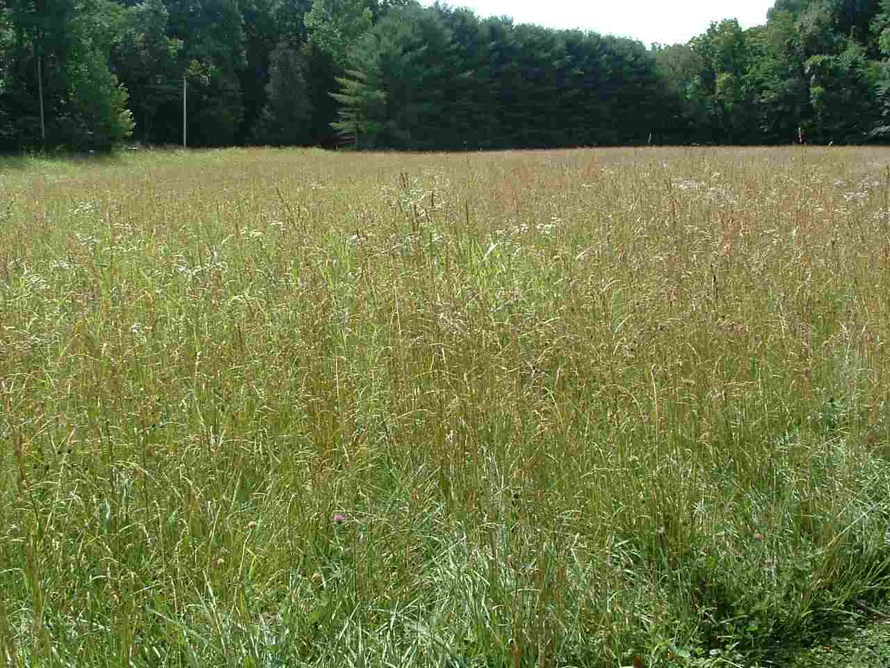0 State Ferry Road Solsberry, IN 47459 - Photo 3 of 3 Gallery Image 3