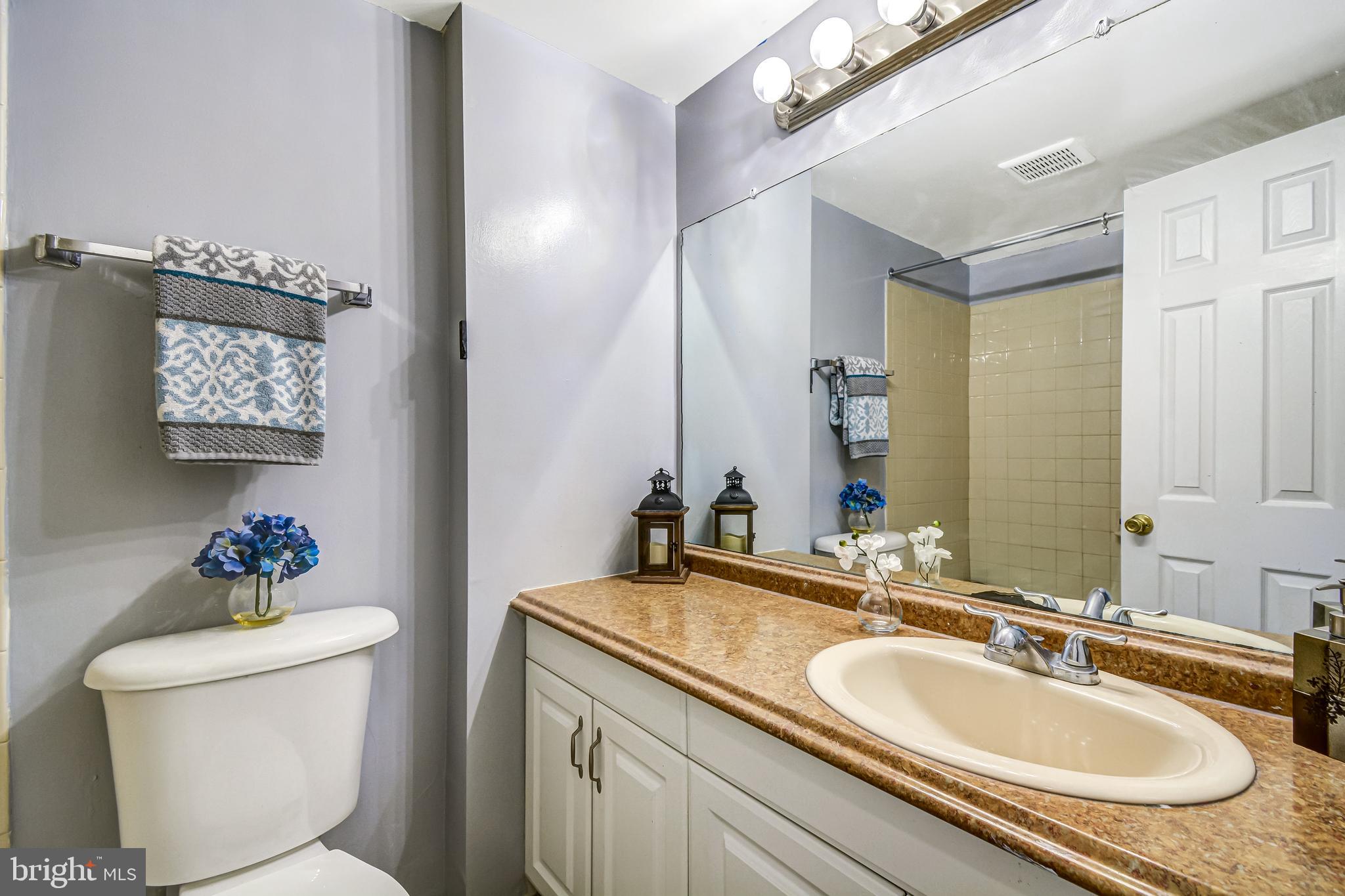3301 Hewitt Avenue, Unit 501 Silver Spring, MD 20906 - Photo 17 of 33 Master Bathroom