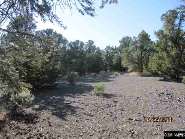 1600 Combination, Unit 160 Reno, NV 89521 - Photo 1 of 4 a view of a forest with trees in the background
