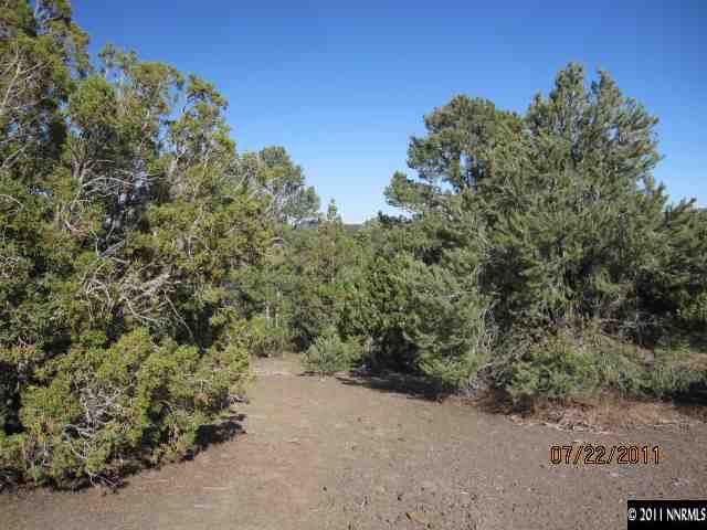 1600 Combination, Unit 160 Reno, NV 89521 - Photo 2 of 4 a view of a forest with trees in the background