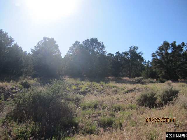 1600 Combination, Unit 160 Reno, NV 89521 - Photo 4 of 4 a view of a dry yard with trees