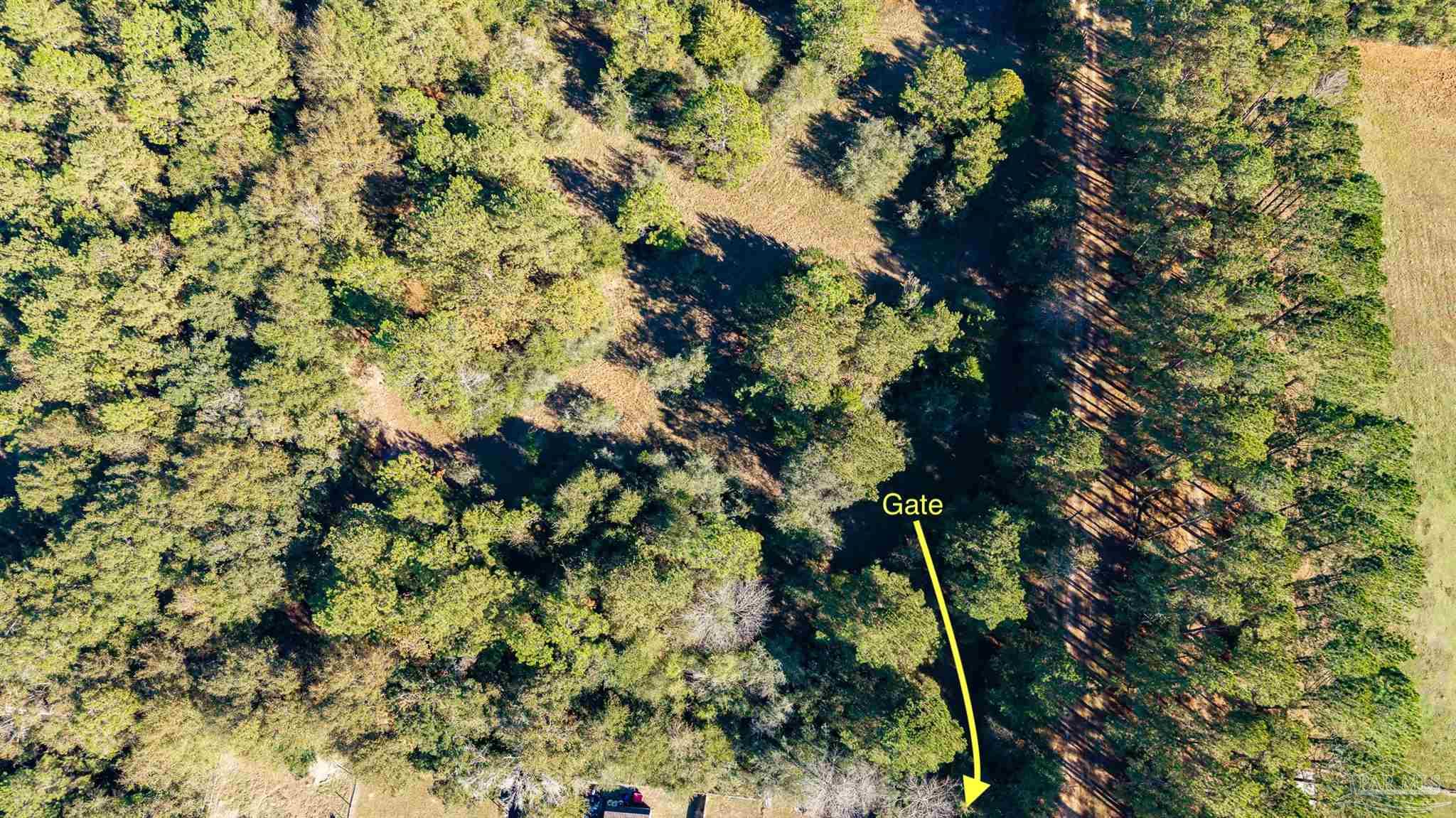 1756 Jacks Branch Road Cantonment, FL 32533 - Photo 2 of 29 a picture of a tree