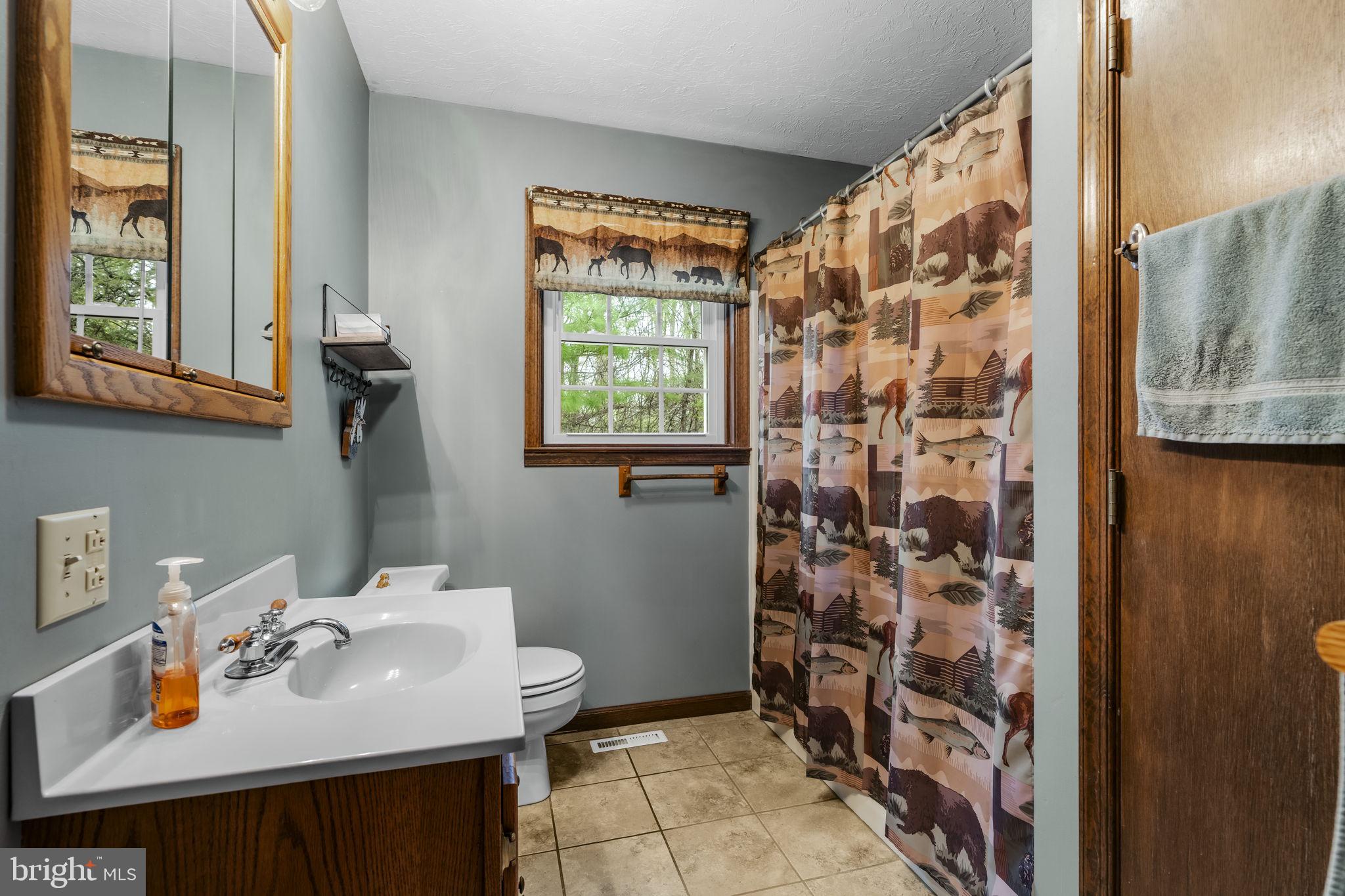 1195 Seglock Road Stevens, PA 17578 - Photo 12 of 33 a bathroom with a sink toilet and shower