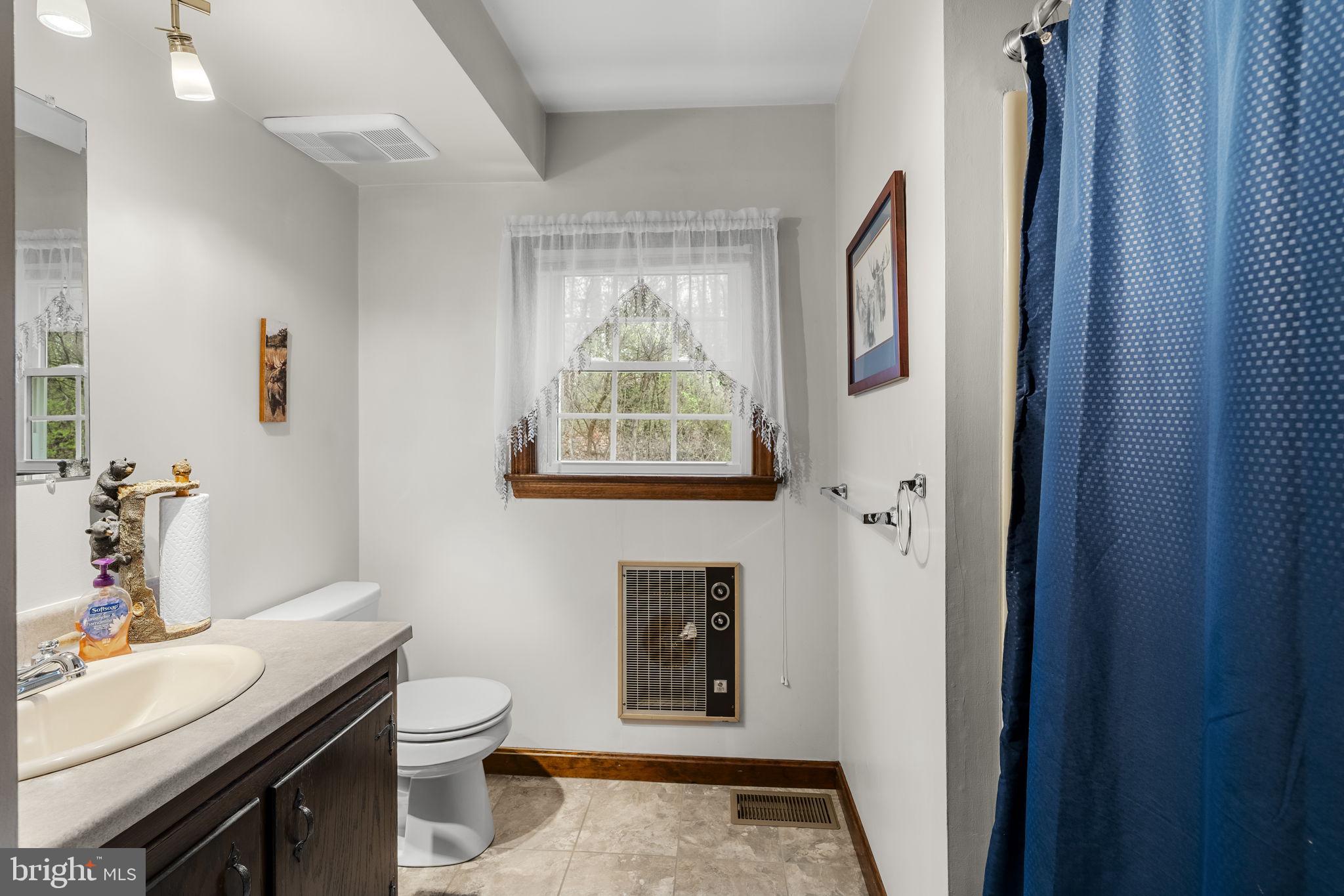 1195 Seglock Road Stevens, PA 17578 - Photo 14 of 33 a bathroom with a toilet a sink and a mirror