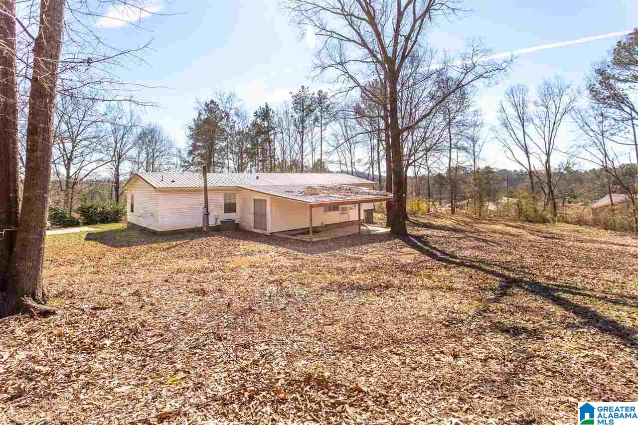 896 Taylors Chapel Road Eastaboga, AL 36260 - Photo 37 of 44