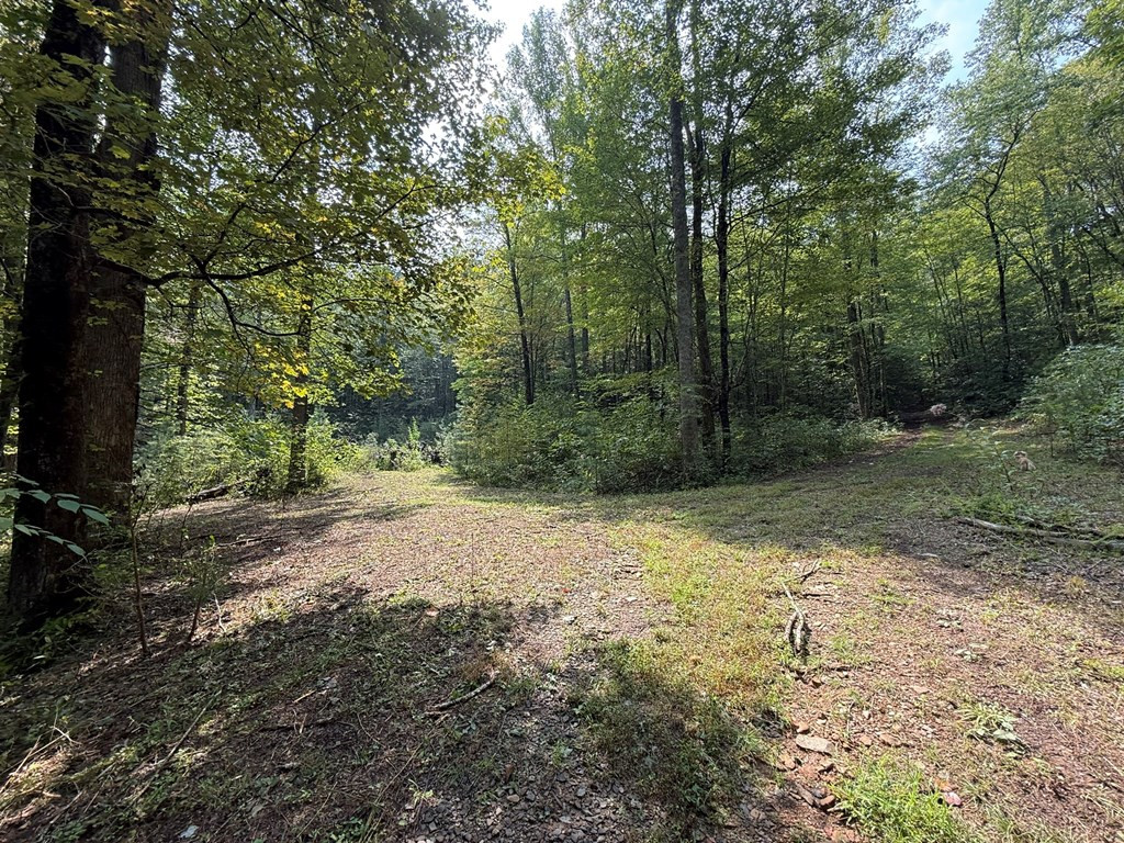 0 Claude Rogers Road Marble, NC 28905 - Photo 7 of 16