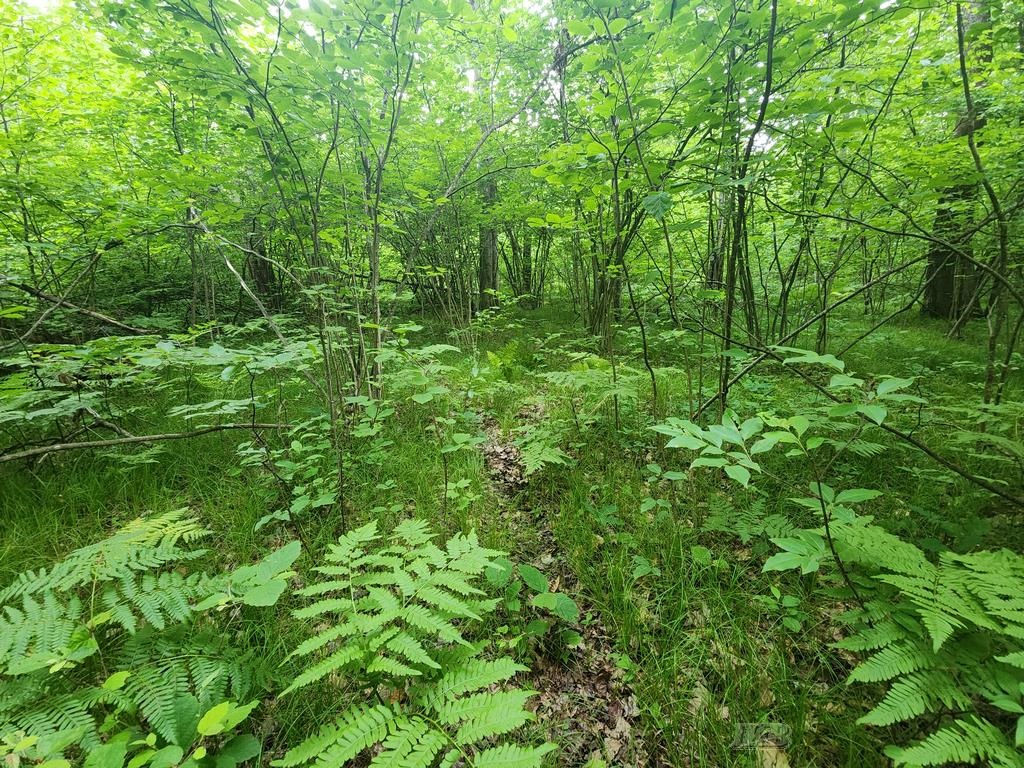 1-acre West Monroe Road Harrison, MI 48625 - Photo 16 of 22 Gallery Image 16