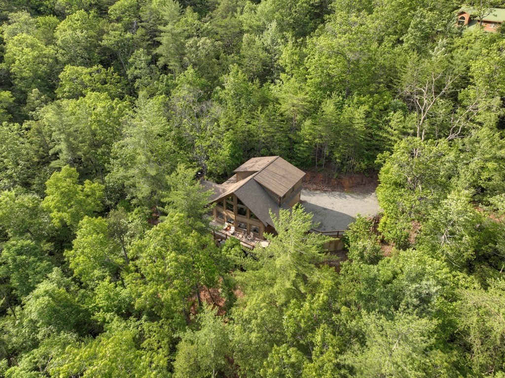 857 Harrison And Ada Road Blue Ridge, GA 30513 - Photo 53 of 55 Gallery Image 53