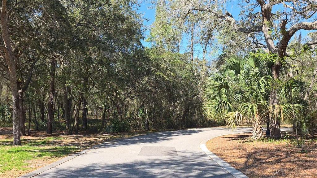 Lincoln Road DeLand, FL 32724 - Photo 3 of 13 Gallery Image 3