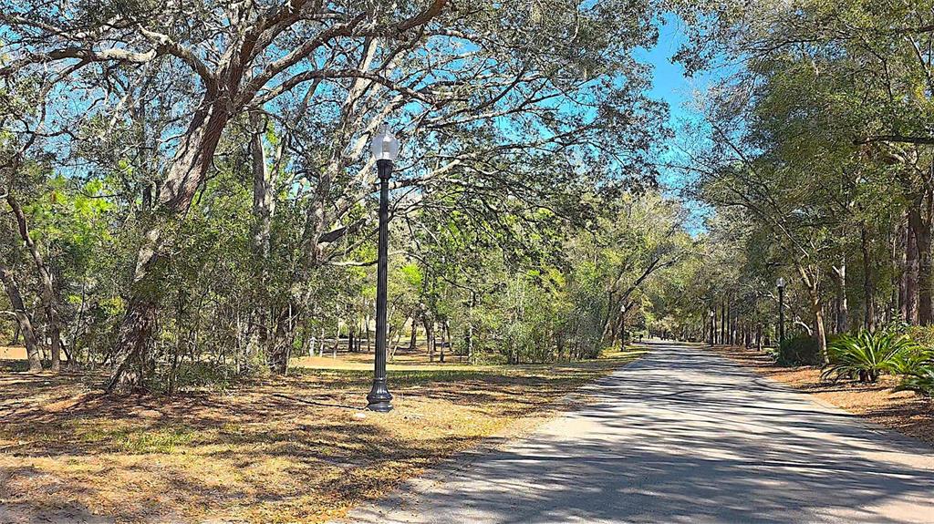 Lincoln Road DeLand, FL 32724 - Photo 4 of 13 Gallery Image 4