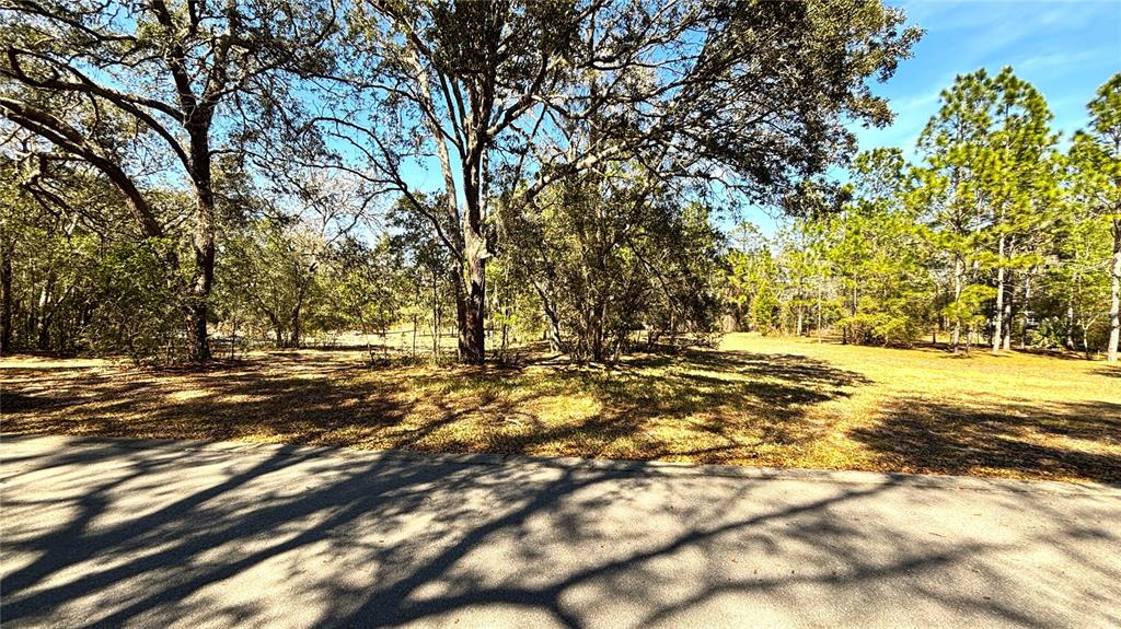 Lincoln Road DeLand, FL 32724 - Photo 5 of 13 Gallery Image 5