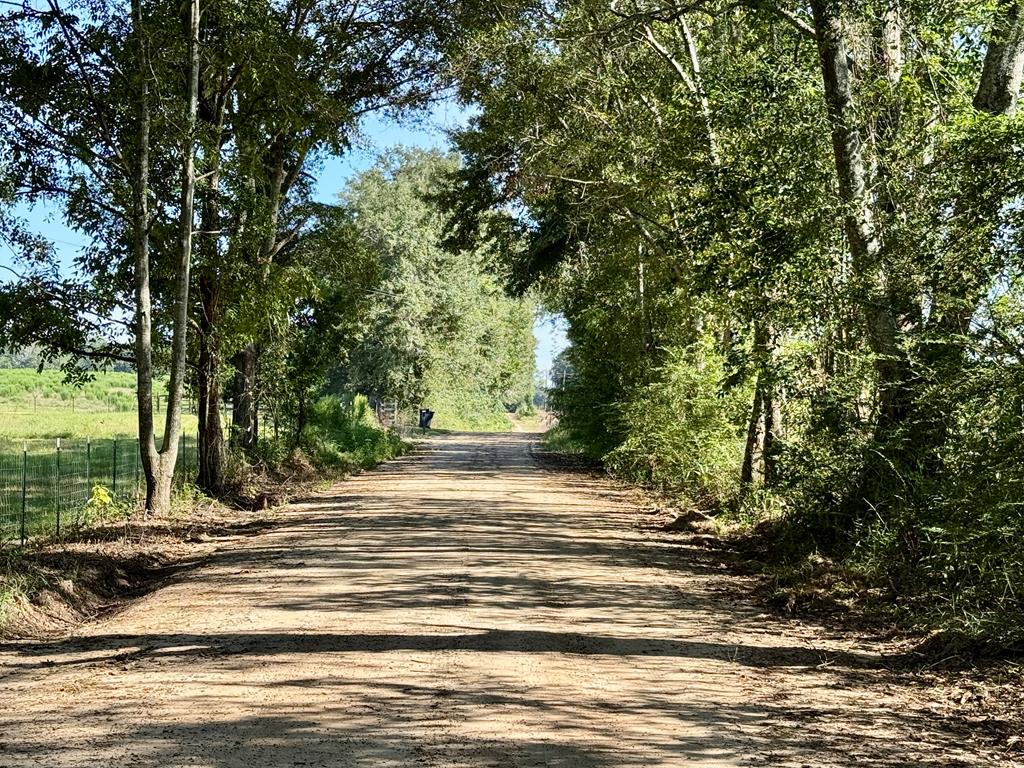 Undisclosed Address Slocomb, AL 36375 - Photo 1 of 23 Main View
