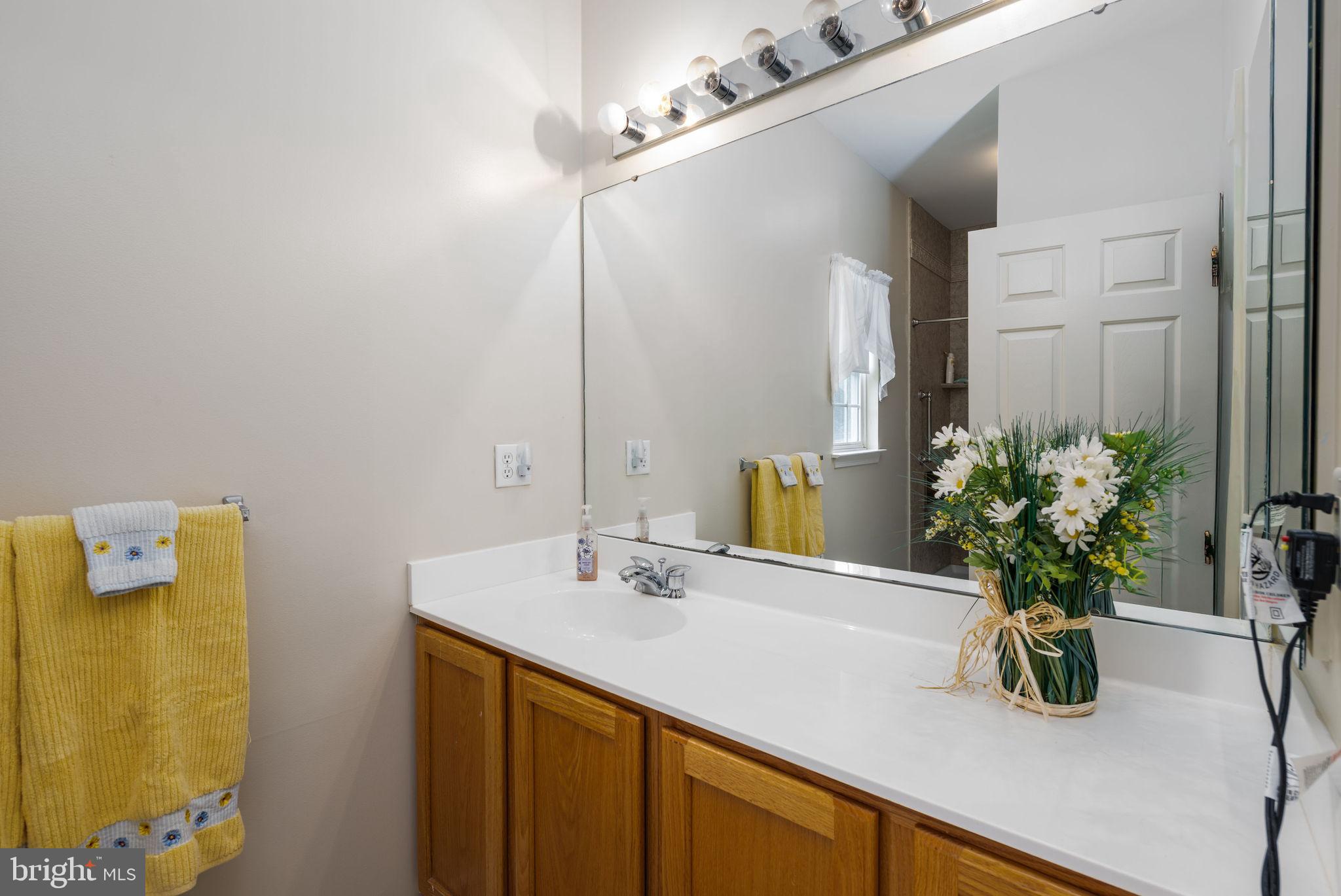 10 Arrowood Knobs Lewes, DE 19958 - Photo 15 of 40 a bathroom with a sink a vanity and a mirror