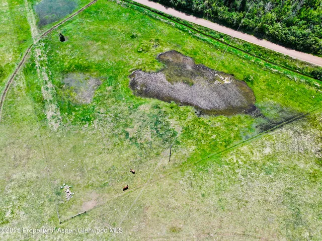 a view of a garden with a plants