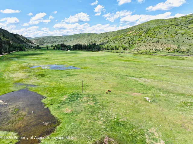 a view of a big yard with a large trees