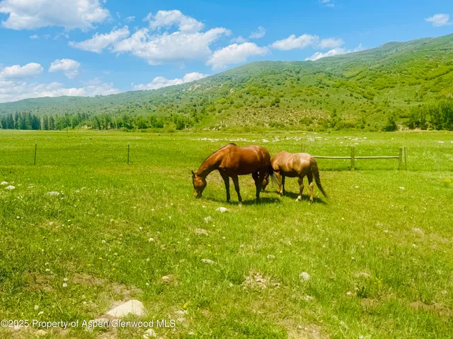 a view of an outdoor space with a lake view