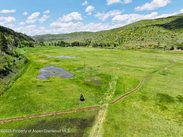 a view of a big yard with swimming pool and green space