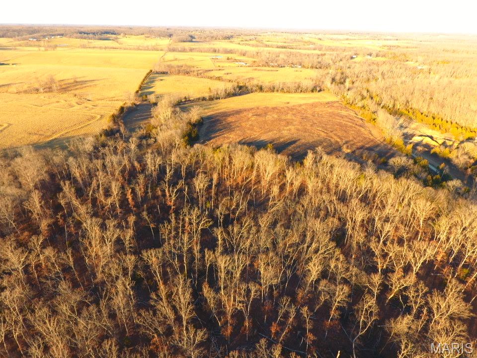 Tbd Van Horn Road Bland, MO 65014 - Photo 40 of 47