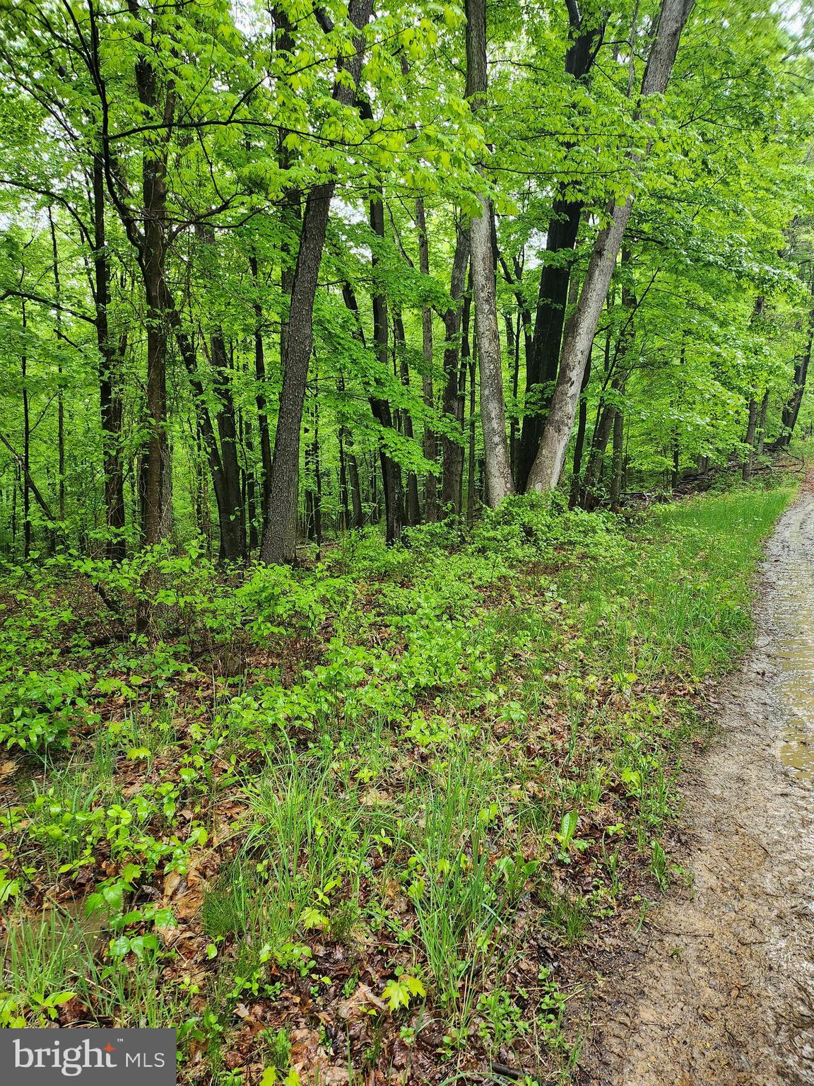 Six Mile Run Six Mile Run, PA 16679 - Photo 11 of 18