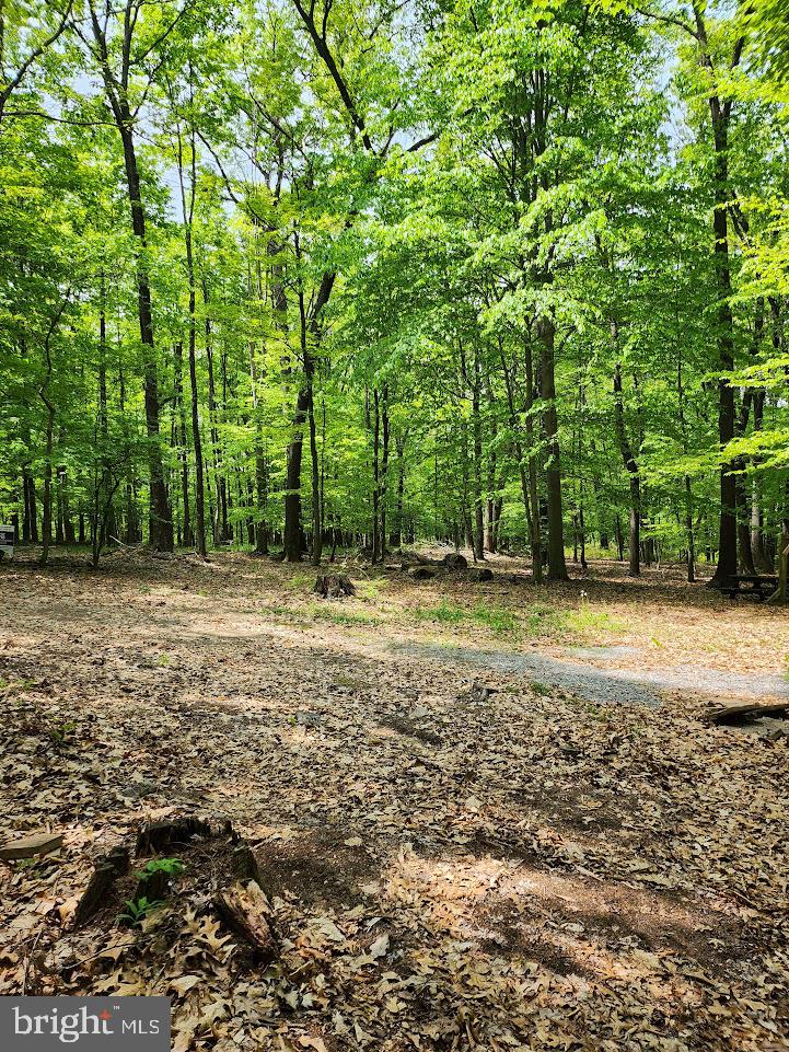 Six Mile Run Six Mile Run, PA 16679 - Photo 6 of 18