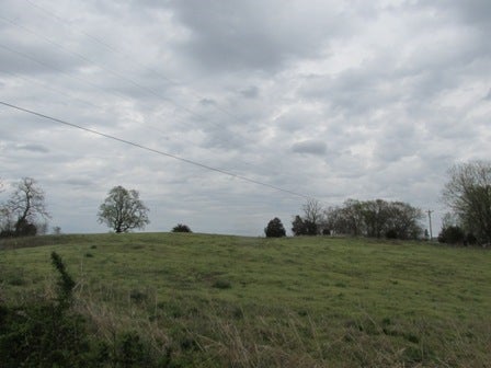 Fairview Church Road Smiths Grove, KY 42171 - Photo 2 of 34 Gallery Image 2