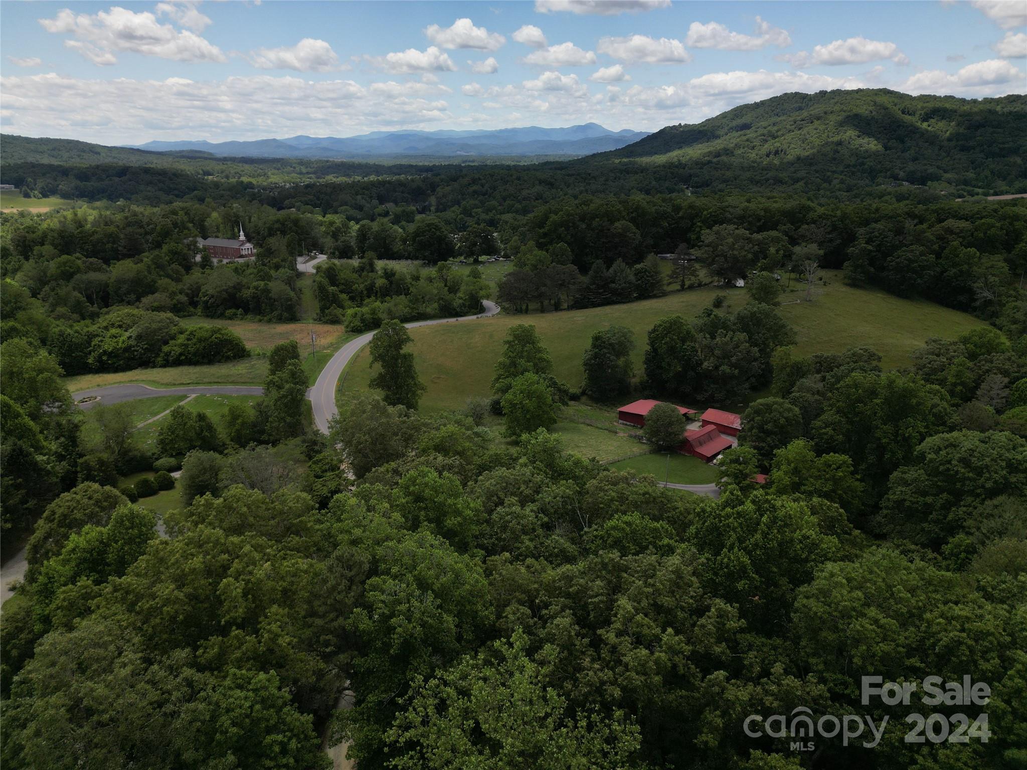 85 Sandy Flat Mountain Road Fletcher, NC 28732 - Photo 23 of 31