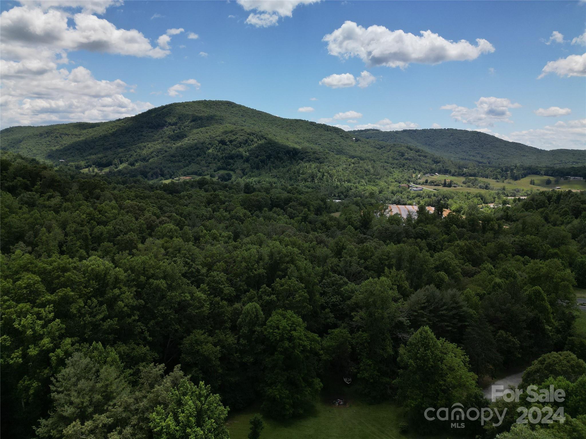 85 Sandy Flat Mountain Road Fletcher, NC 28732 - Photo 25 of 31